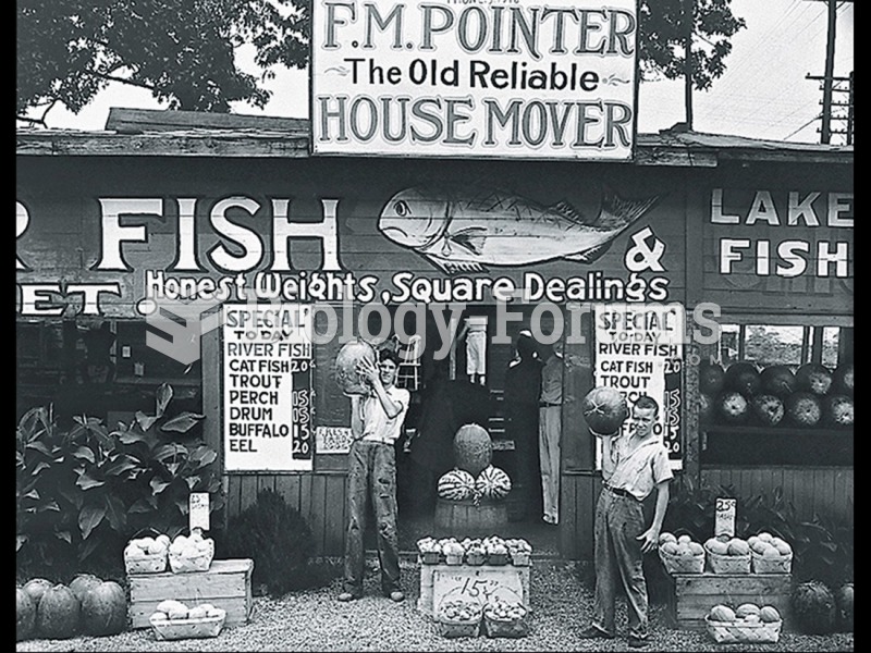 Walker Evans, Roadside Stand near Birmingham, Alabama. 
