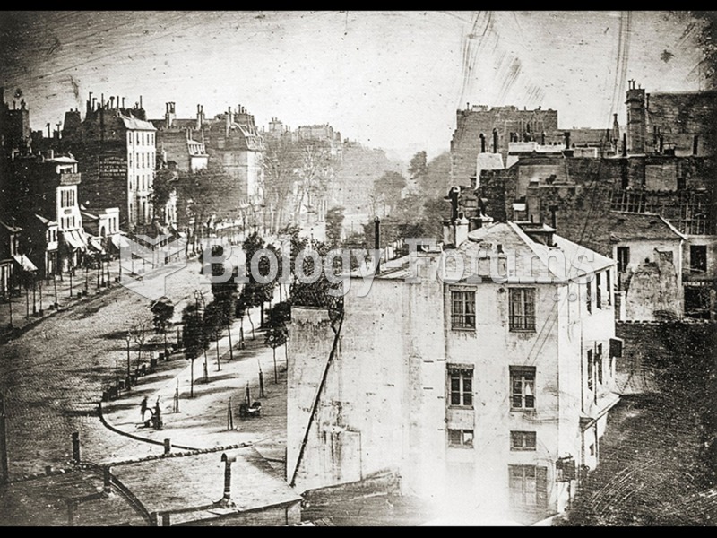 Louis-Jacques-Mandé Daguerre, Le Boulevard du Temple. 