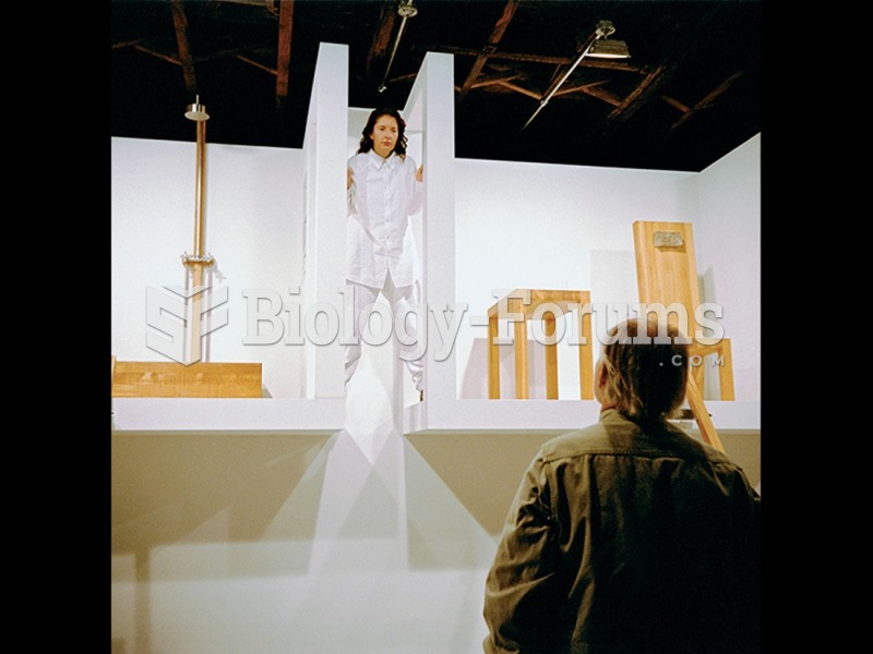 Marina Abramović, The House with the Ocean View—Nov. 22 9:54 am, 2002. Living installation. 