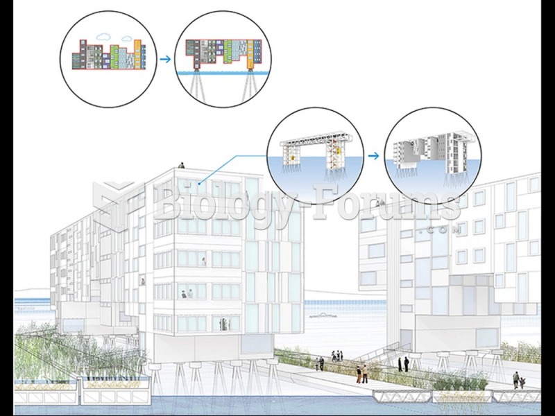 Eric Bunge and Mimi Hoang, nARCHITECTS, New Aqueous City.