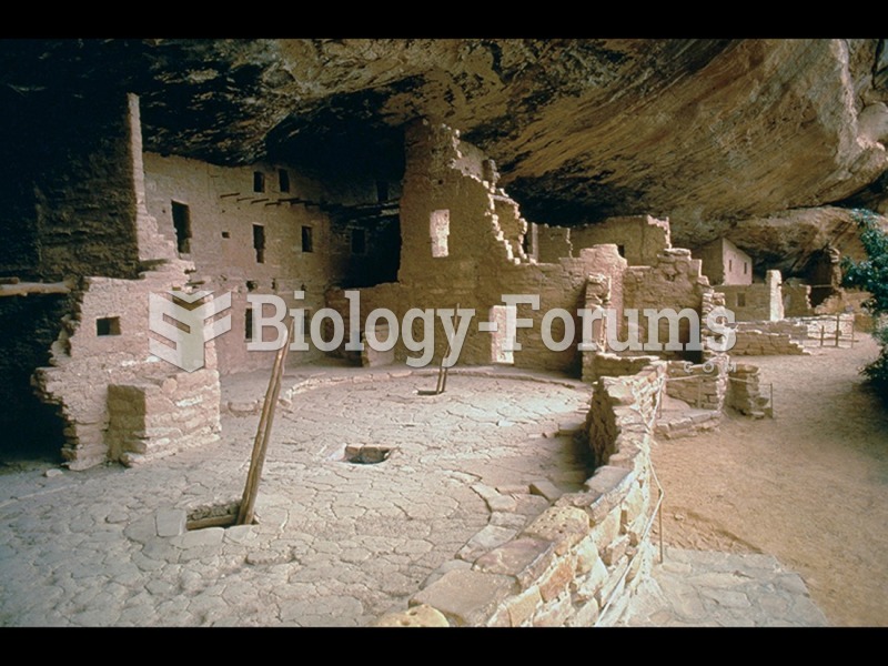 Spruce Tree House, Mesa Verde. 