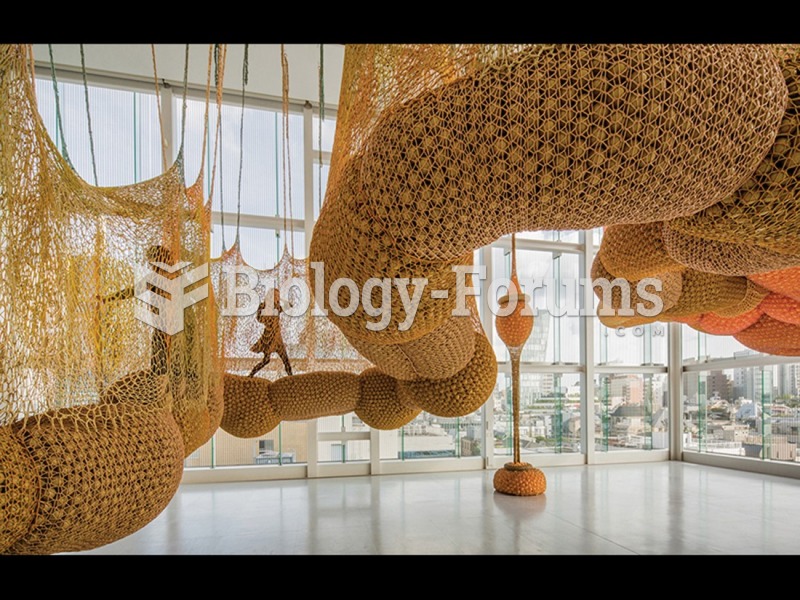 Ernesto Neto, TorusMacroCopula, one of four sculptures in Madness is Part of Life. 