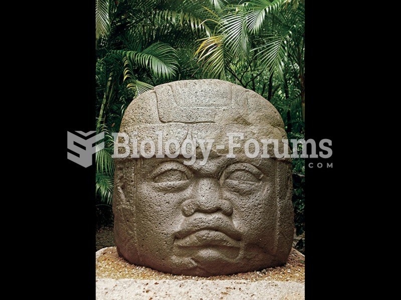 Colossal head, Olmec culture. 