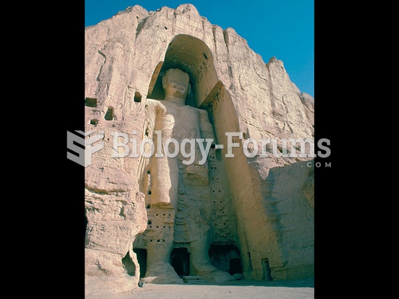 Colossal Buddha, Bamiyan, Afghanistan. 