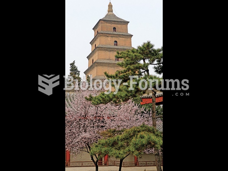 Great Wild Goose Pagoda at Ci'én Temple, Xi'an, Shanxi. 