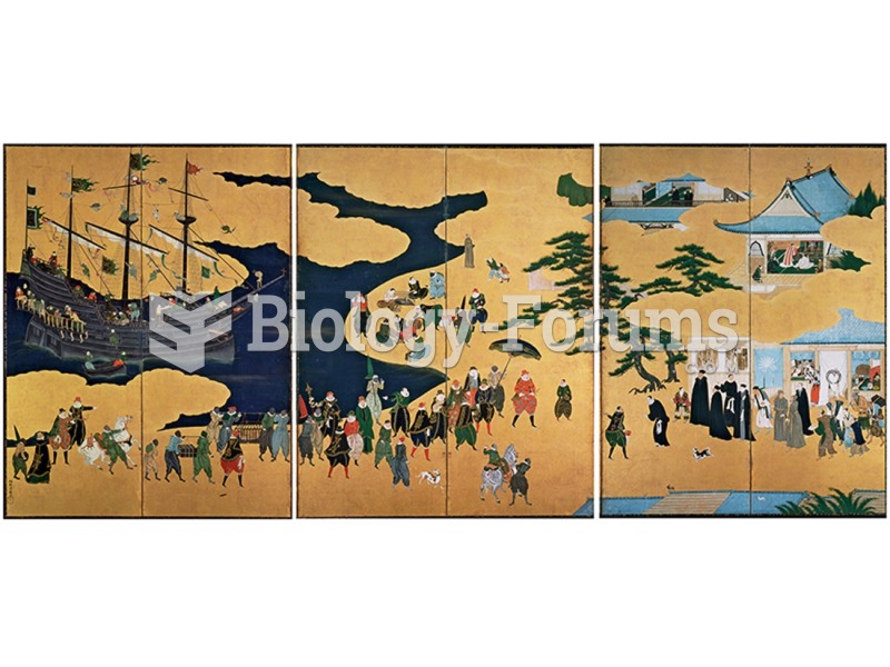 School of Kano, Namban six-panel screen. 