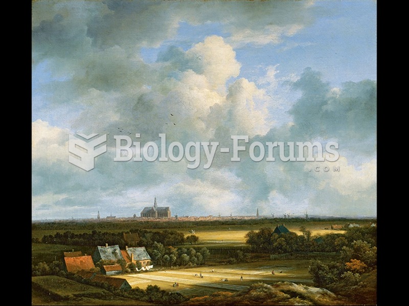 Jacob van Ruisdael, View of Haarlem from the Dunes at Overveen.
