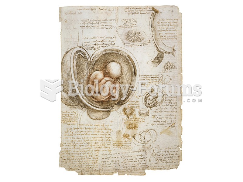 Leonardo da Vinci, Embryo in the Womb. 