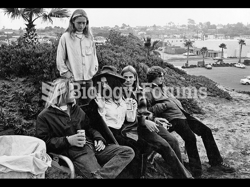 Eleanor Antin, My Kingdom Is the Right Size, from the series The King of Solana Beach. 