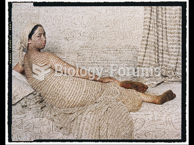 Lalla Essaydi, La Grande Odalisque, from the series Les Femmes du Maroc (The Women of Morocco). 