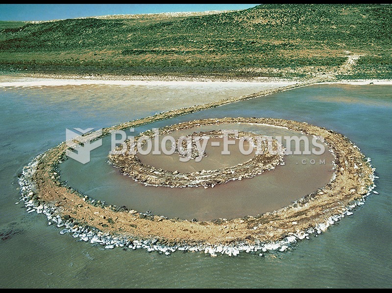 Robert Smithson, Spiral Jetty, Great Salt Lake, Utah. 