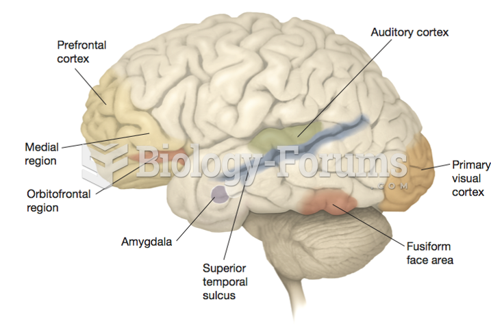 The Social Brain