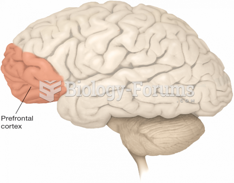 The Prefrontal Cortex