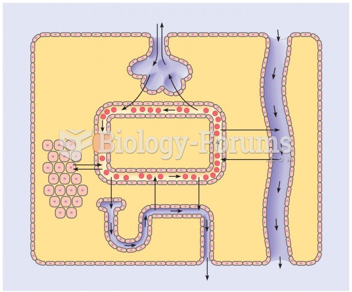 A highly simplified view of the overall plan of the human body.