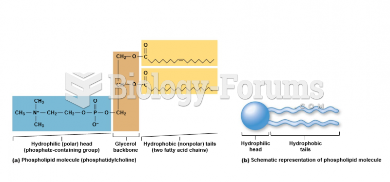 Phospholipid molecule (phosphatidylcholine) and Schematic representation of phospholipid molecule