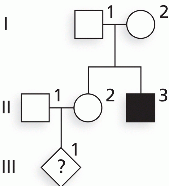 The family described in Example Case 3