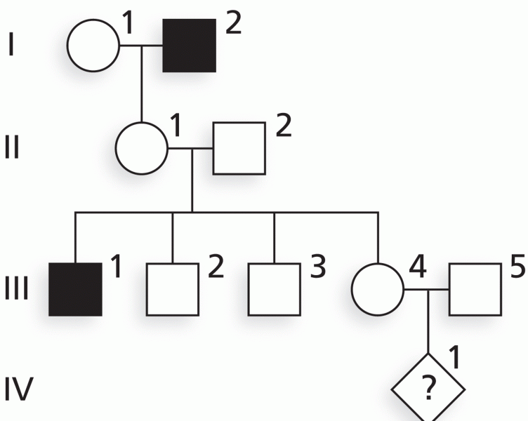 The family described in Example Case 4