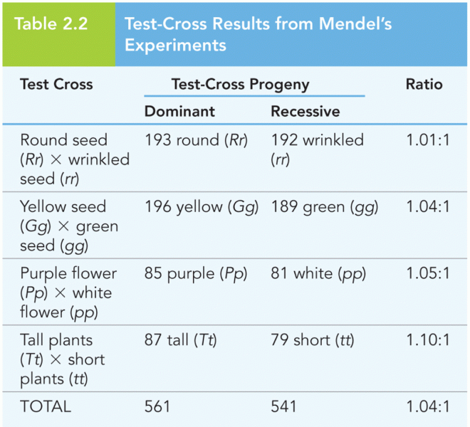 Test-Cross Results from Mendel’s Experiments