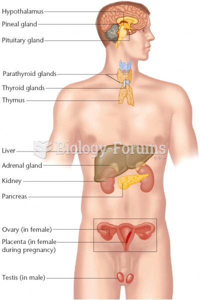 Endocrine System - male