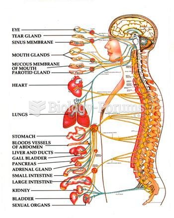 SPINAL NERVES DIAGRAM
