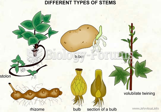 Different types of stems