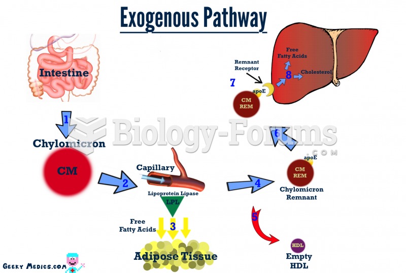 Cholesterol Metabolism -  Exogenous Pathway