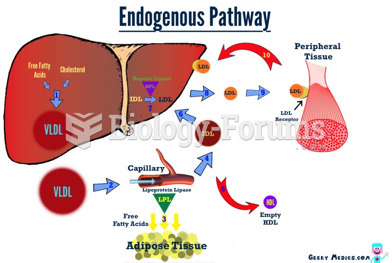 Endogenous Pathway -  Cholesterol Metabolism