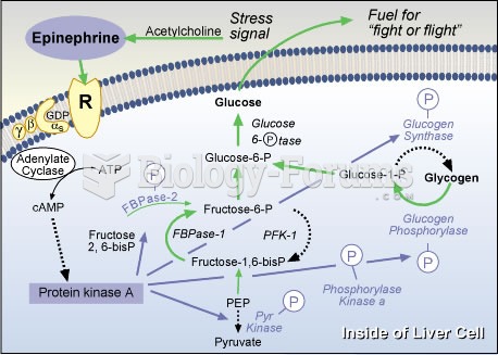 Primary Action of Epinephrine in a Liver Cell