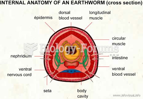 Internal anatomy of an earthworm