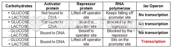 Lactose Operon Summary Chart