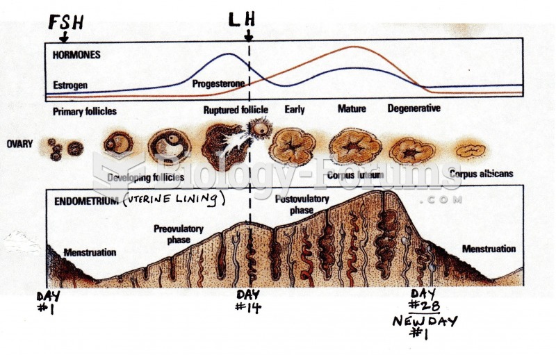 Menstrual cycle