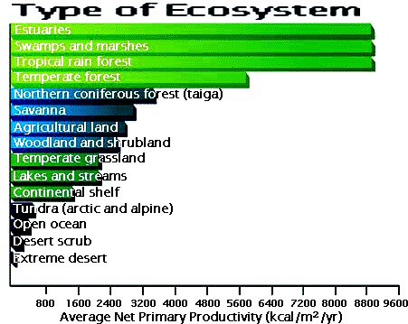 World Ecosystem