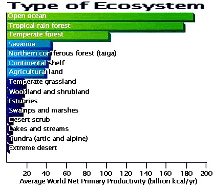 Ecosystem Productivity