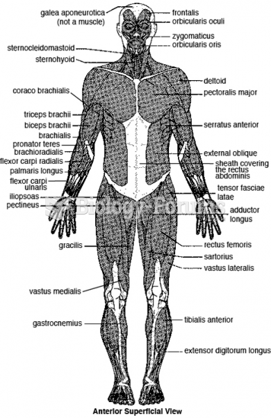 The major skeletal muscles—anterior superficial view.