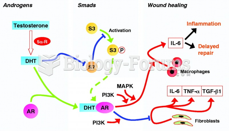 Androgens modulate the inflammatory response during acute wound healing