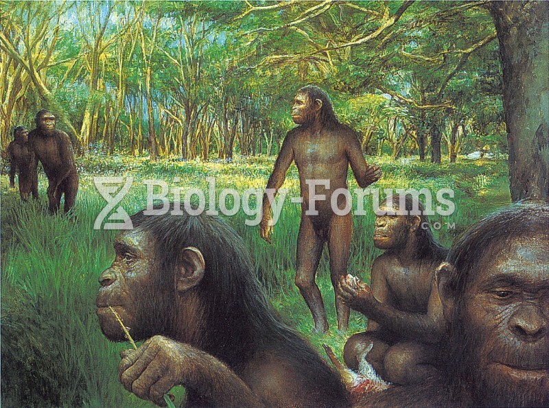 Evolution of hominids
