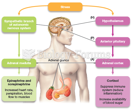 Stress Pathways of the Body 