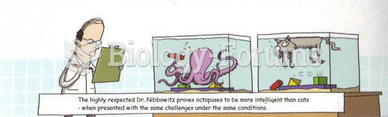 Octopus versus cat