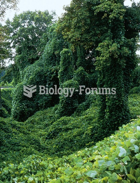 Kudzu native to Asia is overgrowing trees across the southeastern United States. 