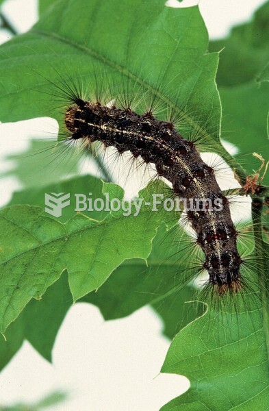 Gypsy moths native to Europe and Asia feed on oaks through much of the United States. 