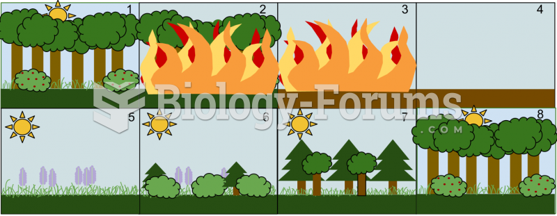 An example of Secondary Succession by stages