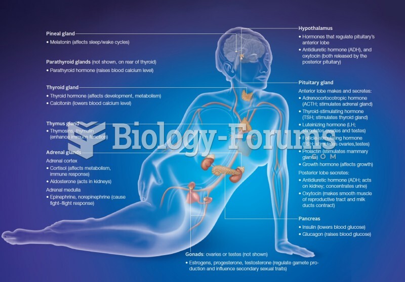 Main components of the human endocrine system and the effects of their secretions