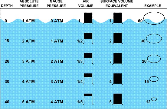 Physics of Diving & Pressure