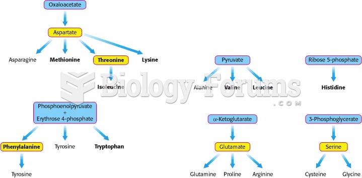 Biosynthetic Families of Amino Acids in Bacteria and Plants