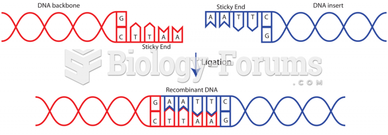 DNA Ligation