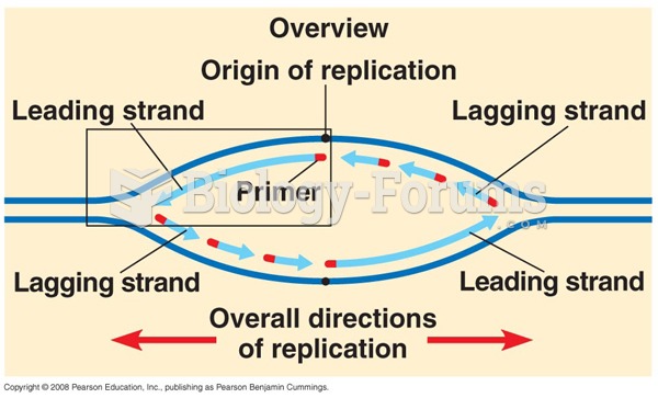 DNA replication (Overall)