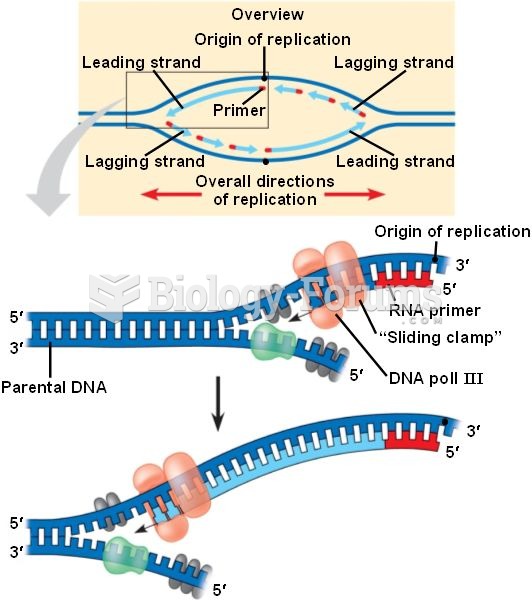 DNA replication (Overall)