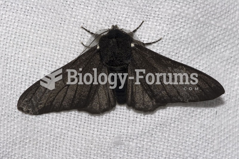Biston betularia betularia morpha carbonaria, the black-bodied peppered moth