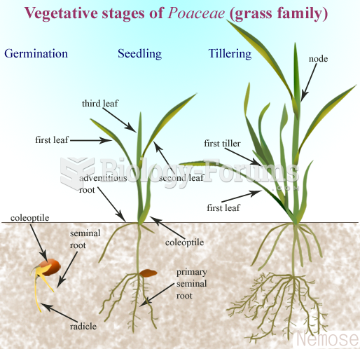 Grass Germination