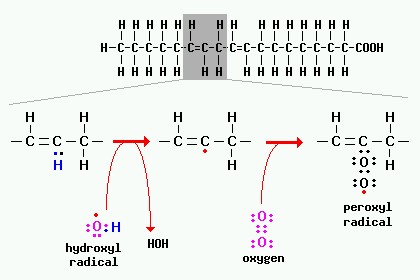 A peroxidation reaction involving a fatty acid is depicted in the figure below.